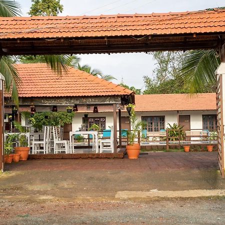 Dhanrains Moonlight Retreat Cottages Palolem Exteriér fotografie